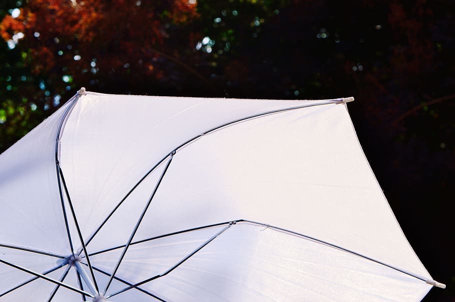Parasol, Screen, Sun, Sunlight, protection, shade tree, sun protection, HD wallpaper