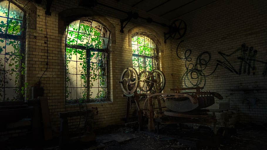 within, architecture, window, old, leave, ruin, light, decay HD wallpaper
