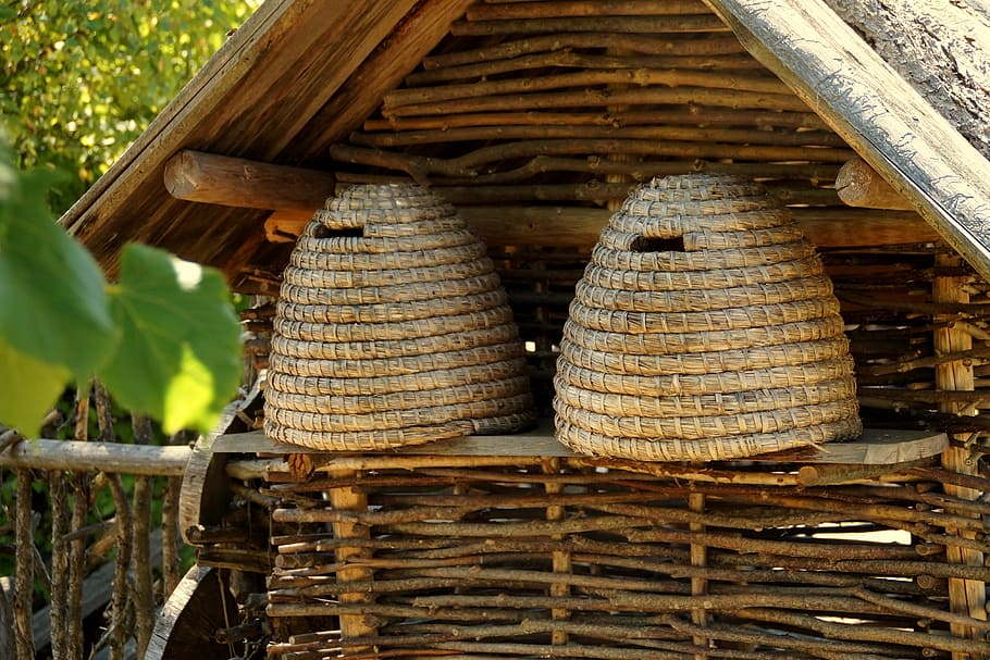 two brown dome nest boxes near wooden house, beehive, bees HD wallpaper