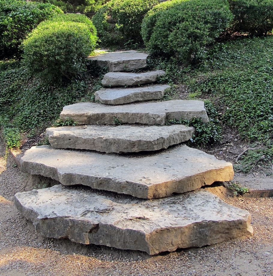 gray concrete stair near topiary plants, stone steps, landscaping HD wallpaper