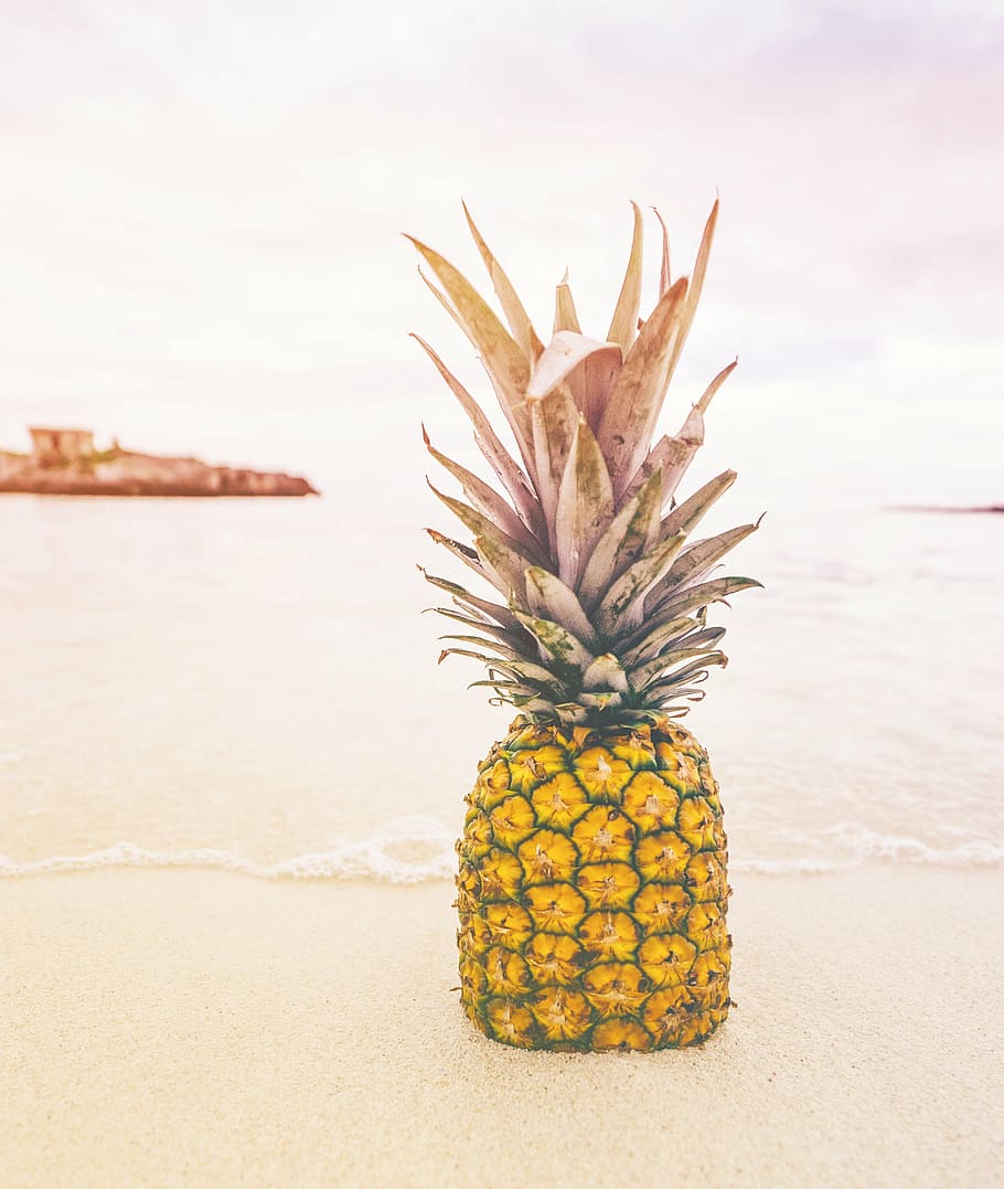 yellow pineapple on shore, beach, bubbles, fruit, golden, rock HD wallpaper
