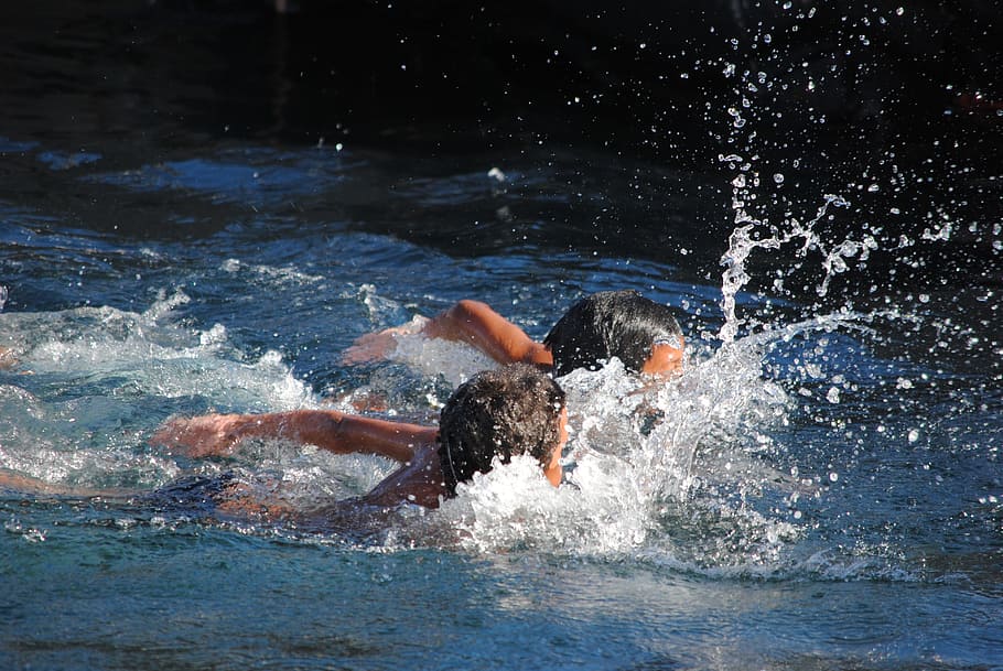 water, swimming, action, splash, wet, hout bay, south africa HD wallpaper