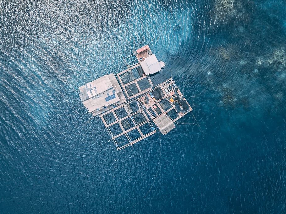 white panels on body of water, drone view, from above, blue sea