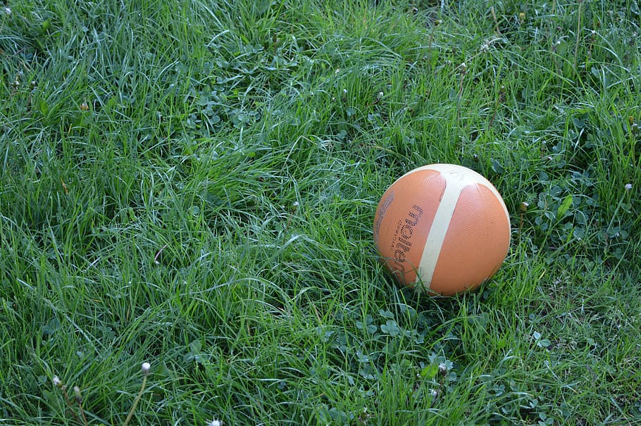 ball, orange, grass, grey, land, green color, field, nature HD wallpaper