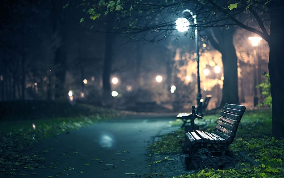 night, solo, park, tree, plant, nature, seat, bench, park bench HD wallpaper