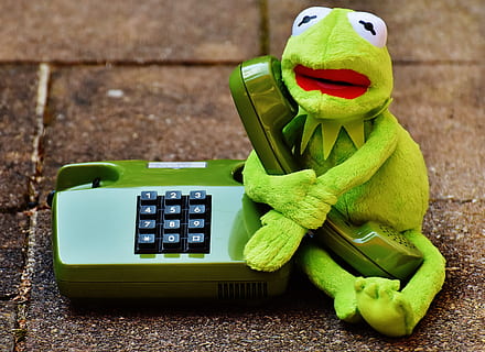 kermit, frog, phone, figure, funny, frogs, animal, plush, stuffed animal HD wallpaper