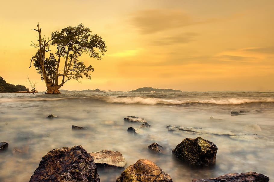body of water during sunset, landscape, nature, sky, sunlight HD wallpaper