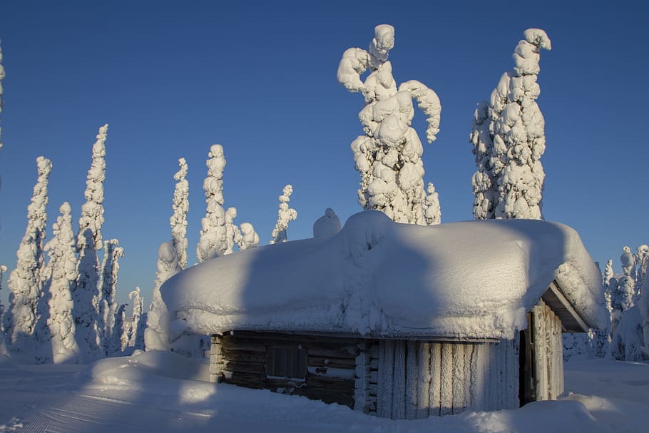 house covered by snow under blue calm sky, lapland, winter HD wallpaper