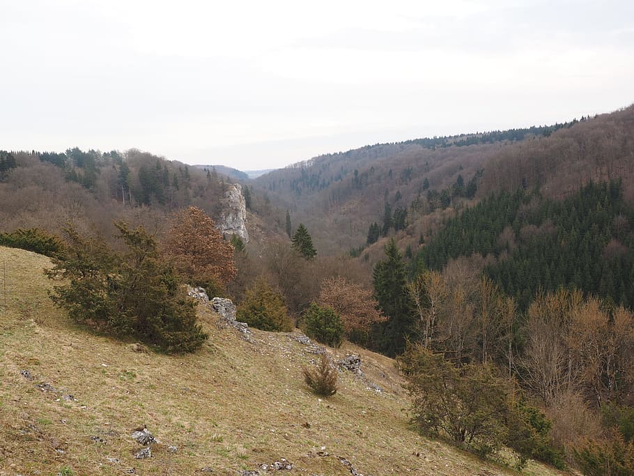 small lautertal, swabian alb, valley, heide, bermaringen, landscape, HD wallpaper