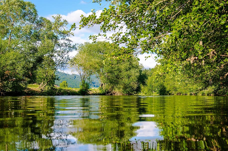 projection photography of body of water near green leaf trees HD wallpaper