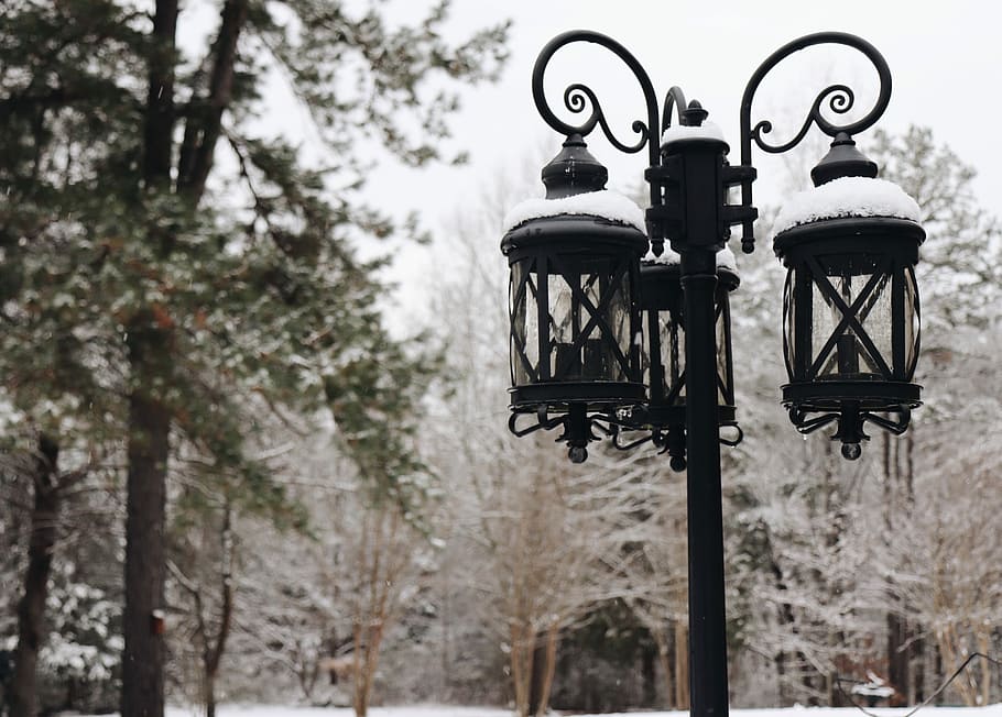light the world, outdoor post lamp near trees, winter, snow, lantern HD wallpaper