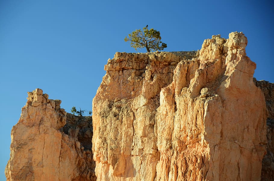 brown rock cliff, lone tree, landscape, scenic, scenery, horizon HD wallpaper