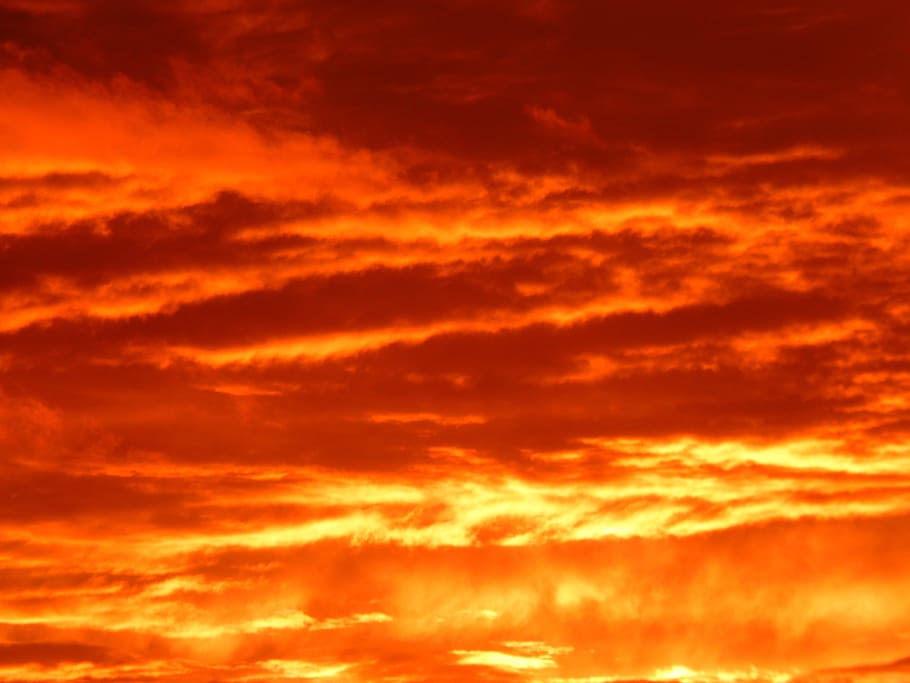 orange cloudy sky during daytime, sunset, fire, burns, fiery, HD wallpaper