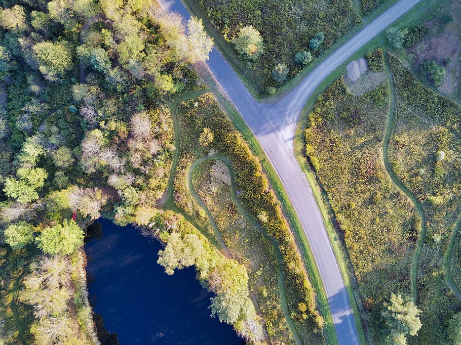 Patterns from the Air, areal view of road and lake, aerial, path, HD wallpaper