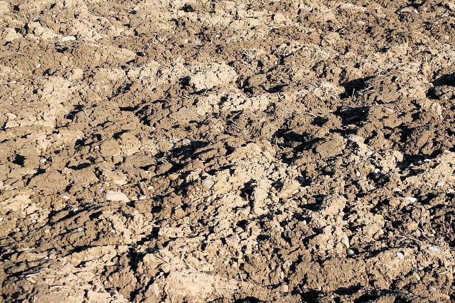 Topsoil 1080P, 2K, 4K, 5K HD wallpapers free download | Wallpaper Flare