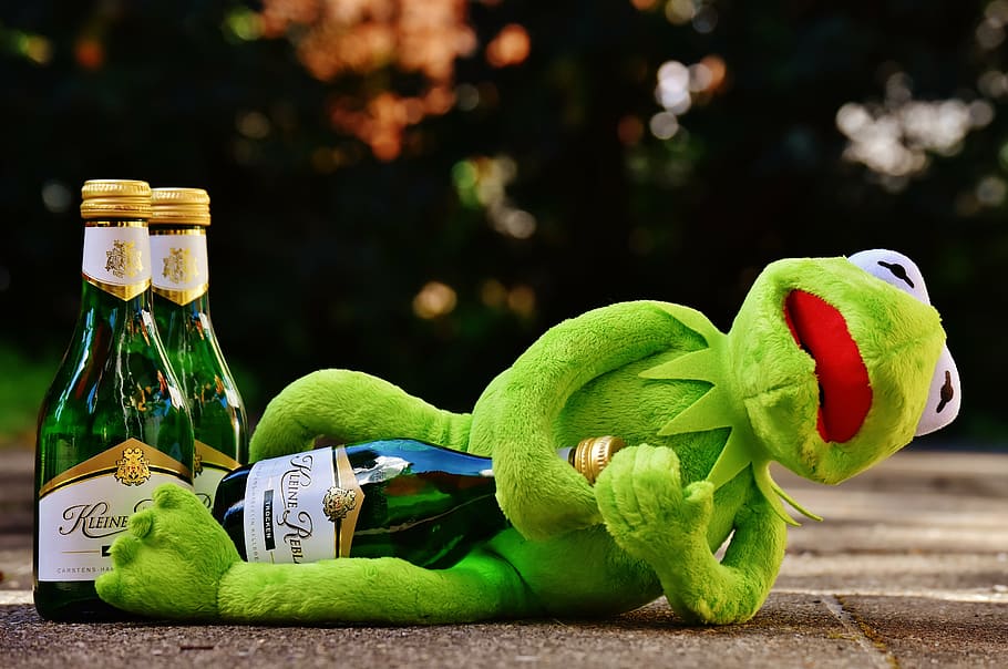 kermit, frog, wine, drink, alcohol, drunk, rest, sit, figure, HD wallpaper