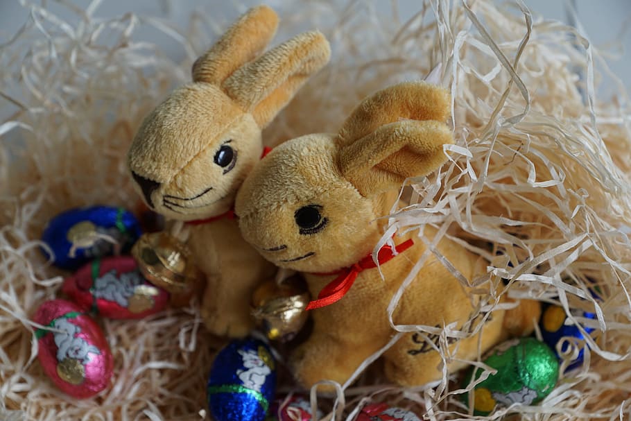 easter, rabbit, egg, festival, chocolate, animal, spring, easter eggs HD wallpaper