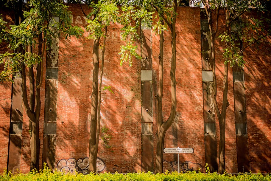 wall grafitti, brown brick wall, tree, graffiti, sign, grass HD wallpaper