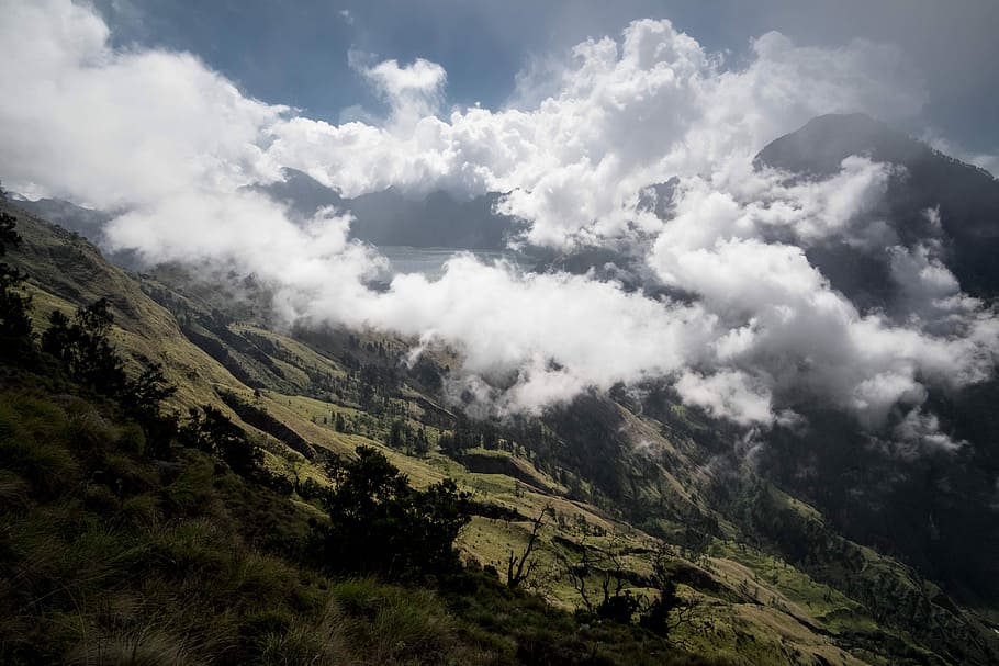 green mountain under cloudy sky, green leaf trees under cumulus clouds HD wallpaper