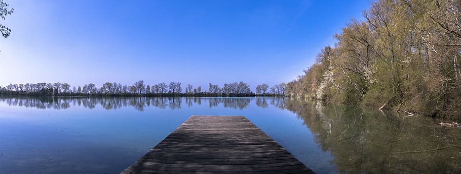 panorama, lake, water, web, trees, bank, nature, construction HD wallpaper