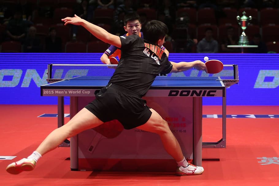 tabletennis game, Table Tennis, Ping Pong, Passion, sport, playing, HD wallpaper