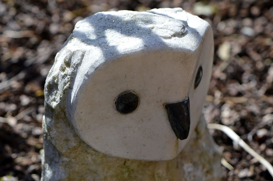 owl, stone, white, garden, focus on foreground, day, close-up HD wallpaper