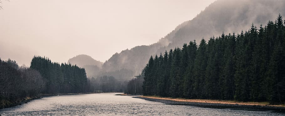 body of water, mountain, river, mist, fog, tree, forest, environment HD wallpaper