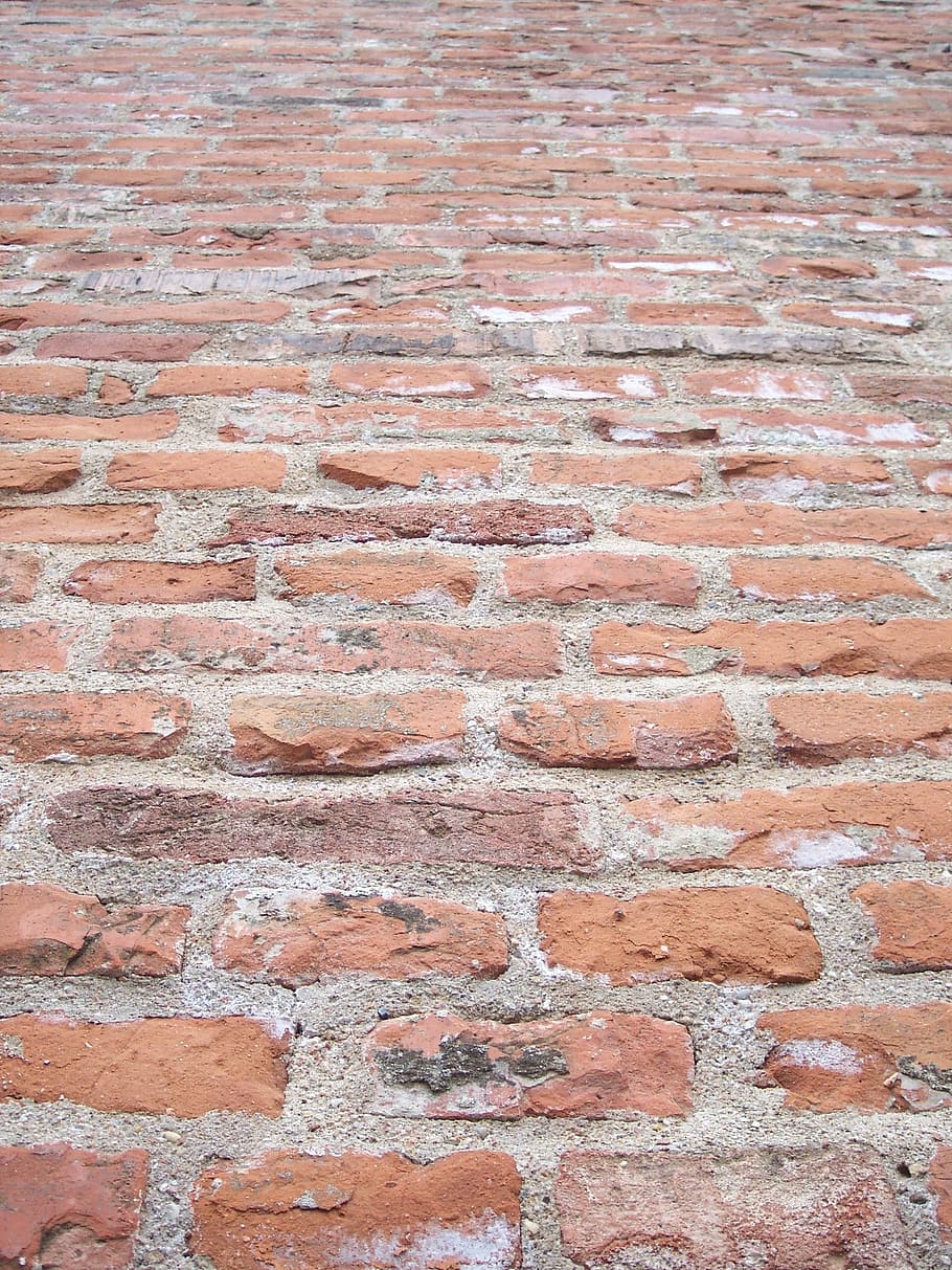 wall, sample, brick, bricks, old building, brick wall, city HD wallpaper