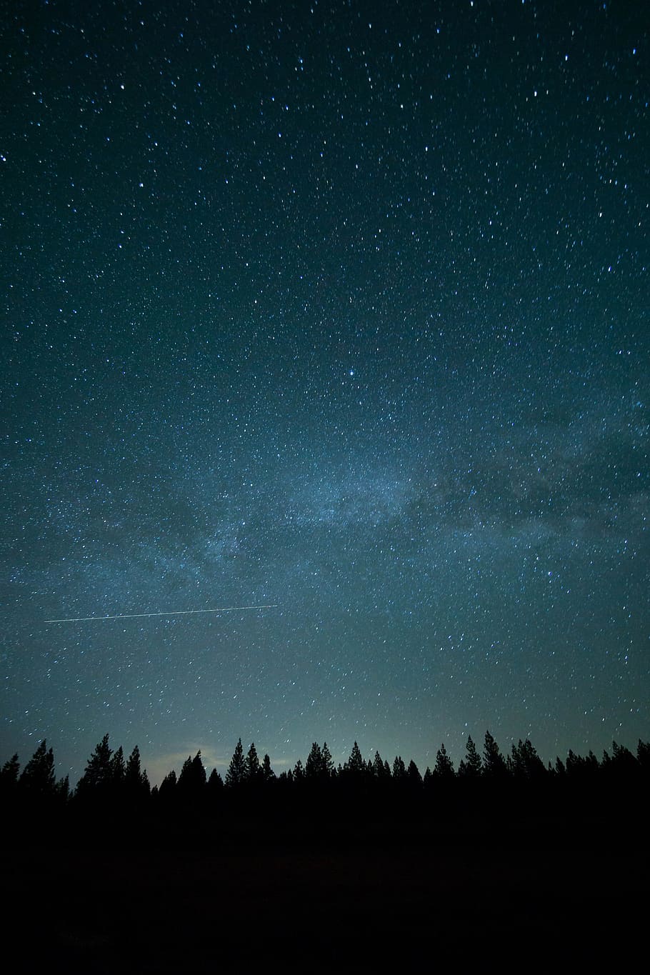 trees under blue sky and stars during nighttime photo, time lapse photography of silhouette of trees and shooting star HD wallpaper