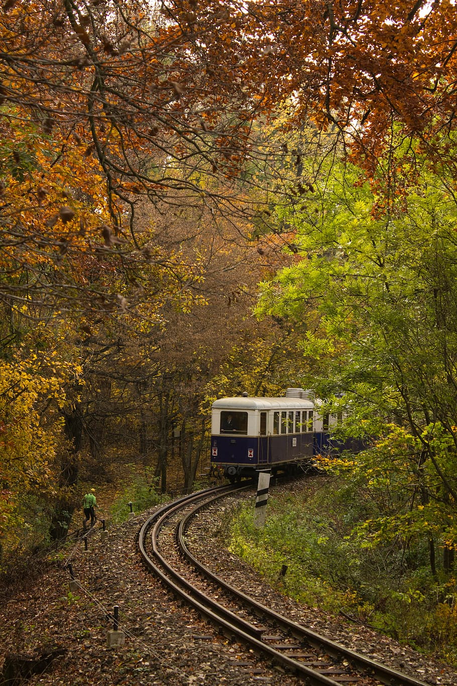 train, nature, transport, forest, rail, rails, autumn, mood HD wallpaper