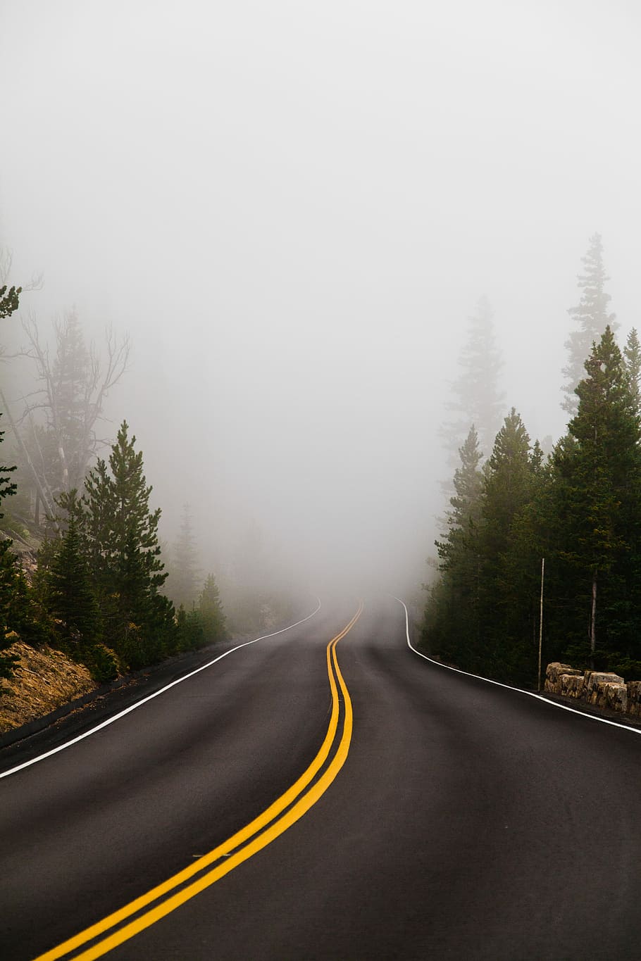 foggy empty winding road, empty asphalt road surrounded with fogs HD wallpaper