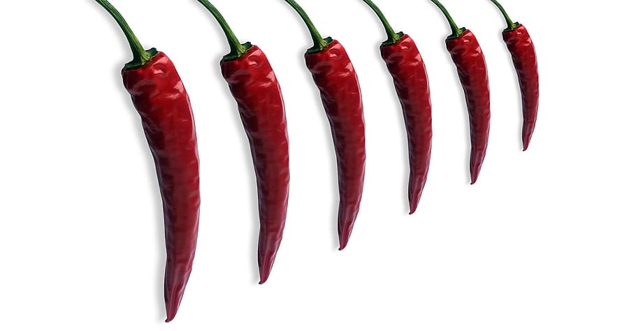 pepper, chili, chilli pepper, sharp, red, asia, pods, food, HD wallpaper