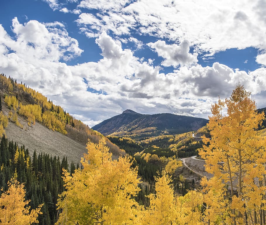 Colorado, Fall, Leaves, Mountains, fall leaves, autumn, nature HD wallpaper