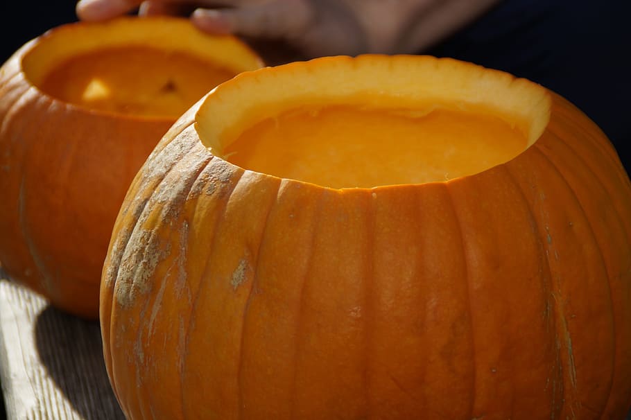 pumpkin, pumpkins, orange, bright, autumn, autumn decoration HD wallpaper