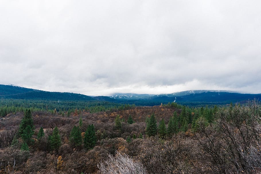 mountains, hills, fields, bushes, trees, grey, sky, clouds HD wallpaper