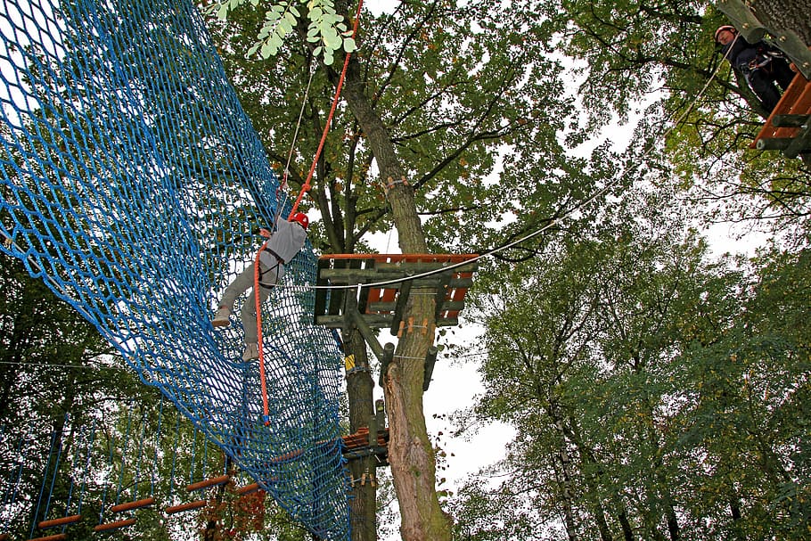 rope park, monkey grove, climbing, fun, tree, rhytidectomy HD wallpaper