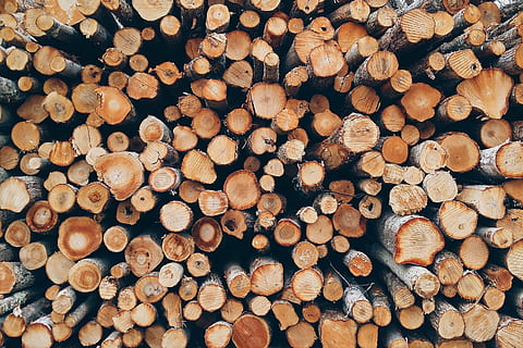 pile of log, batch, close-up, dry, firewood, forestry, logs HD wallpaper
