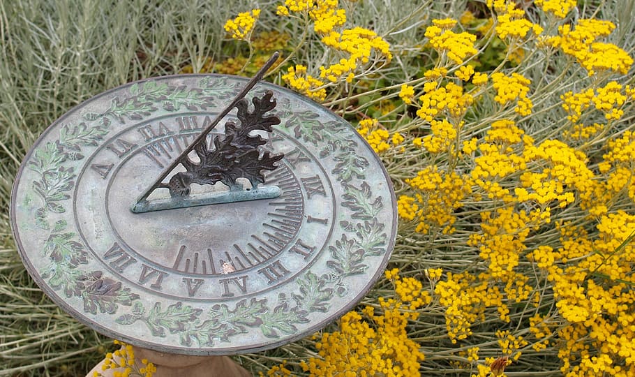 sundial, garden, time, clock, plant, yellow, no people, nature, HD wallpaper