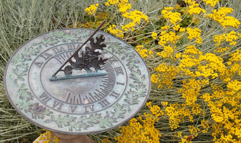 sundial, garden, time, clock, plant, yellow, no people, nature HD wallpaper