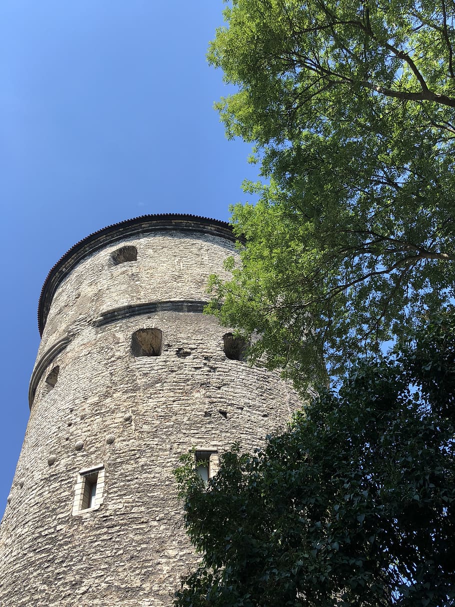 tower, city, sky, architecture, built structure, tree, low angle view HD wallpaper