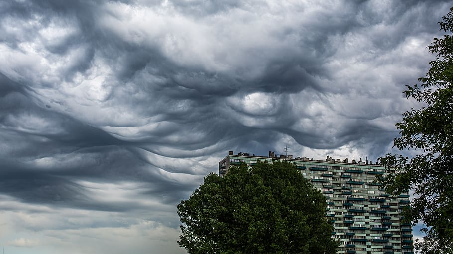 nature, panoramic, sky, cloud, landscape, storm, cumulus, tree HD wallpaper