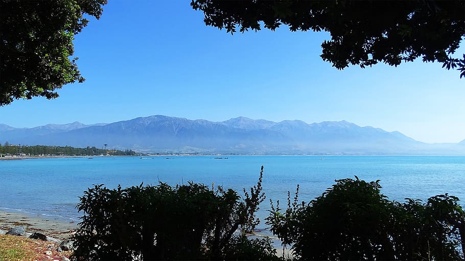 mountain, beach, trees, day, mar, ocean, sky, nature, water HD wallpaper