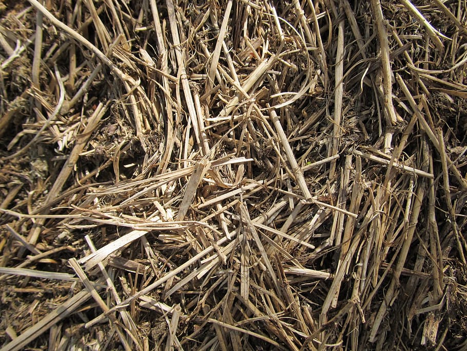 texture, nature, natural, brown, surface, rough, backdrop, hay HD wallpaper