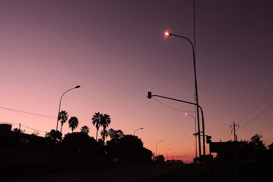 sky, sunset, silhouette, trees, plant, street light, lighting equipment HD wallpaper