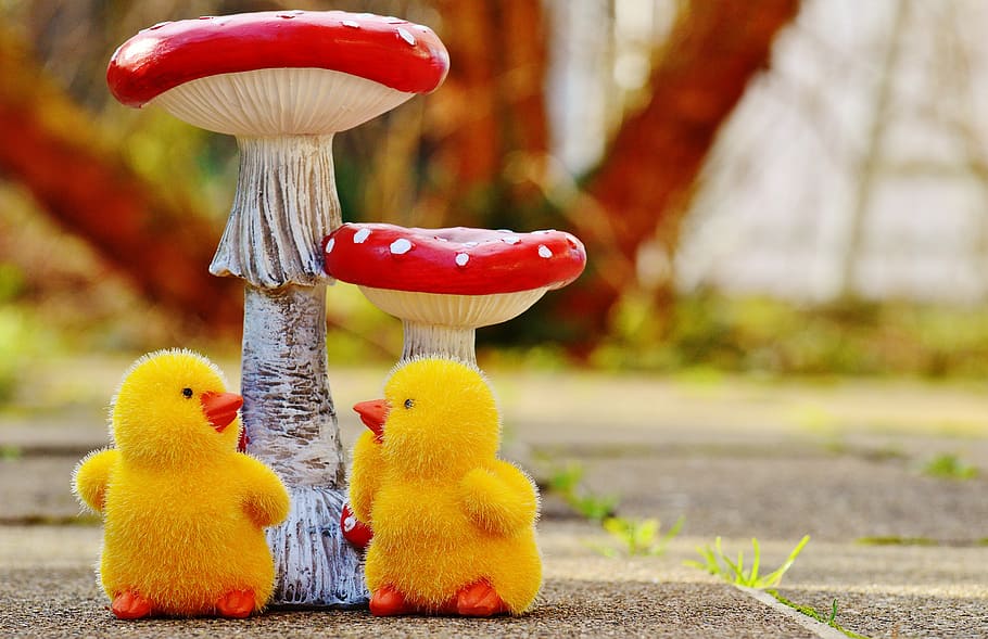 chicks, easter, mushrooms, fly agaric, cute, figure, easter theme HD wallpaper