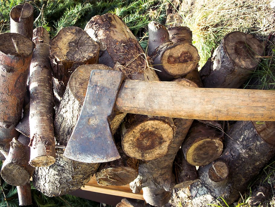 ax, wood, hacking, lumberjack, forest, wood - material, tree HD wallpaper