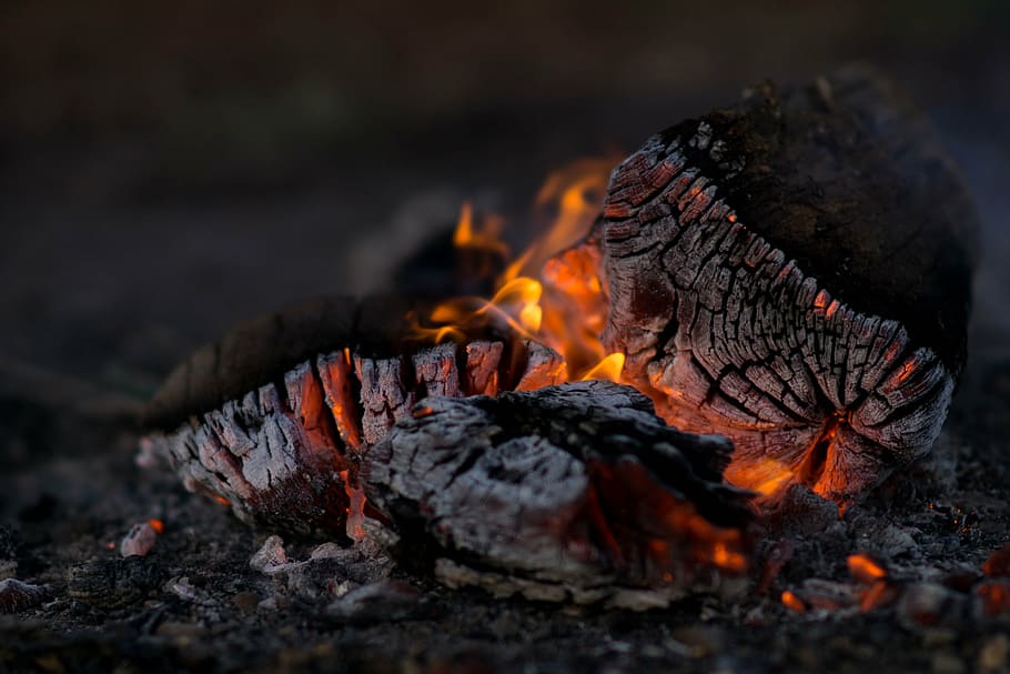 burning, fire, flame, heat, wood, fire - natural phenomenon HD wallpaper
