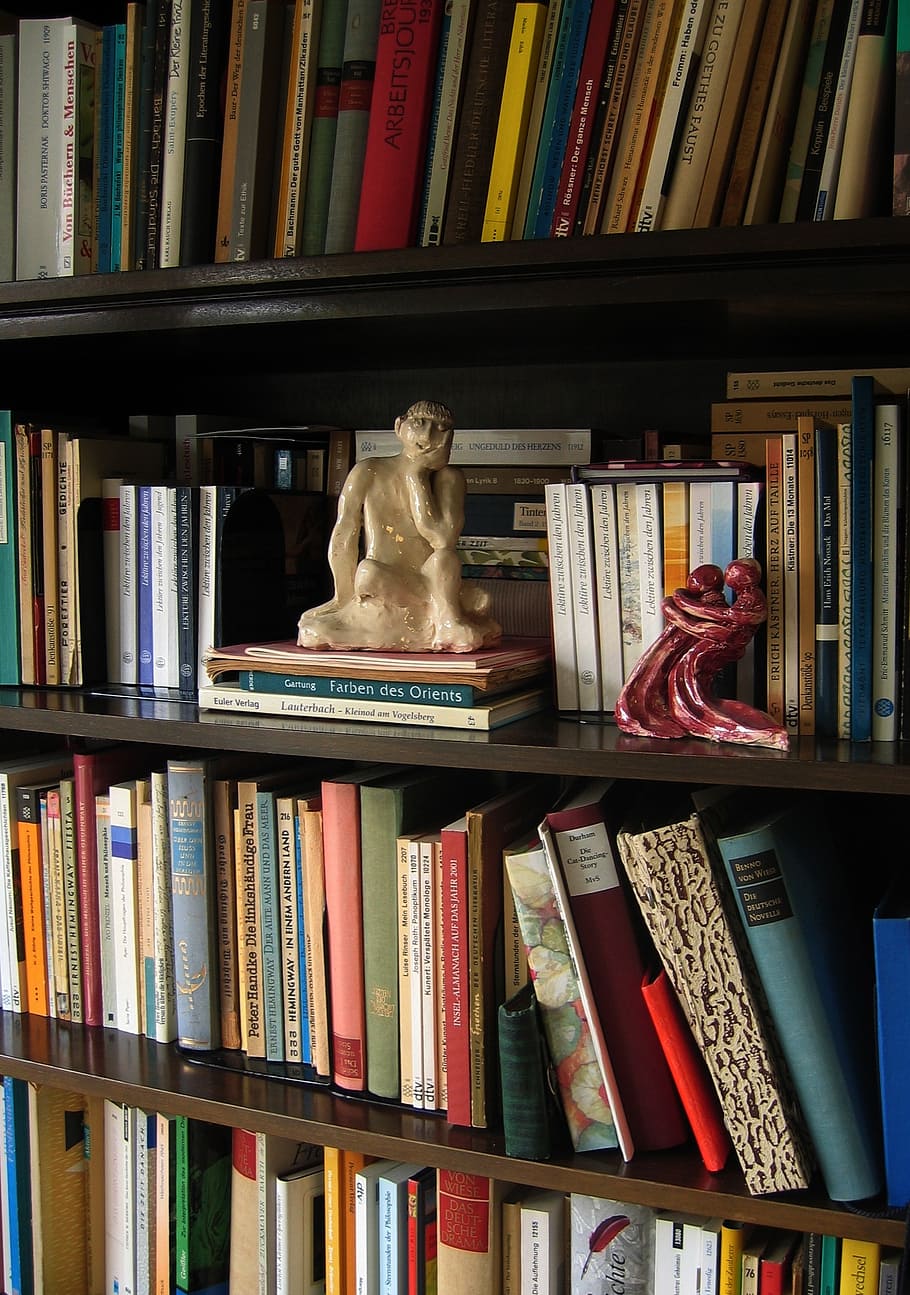 statue, plastic, think, thinker, book, books, bookshelf, read HD wallpaper