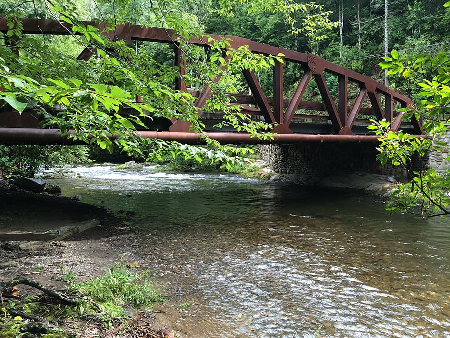bridge, iron, river, creek, great smokey mountains, tree, scenic HD wallpaper