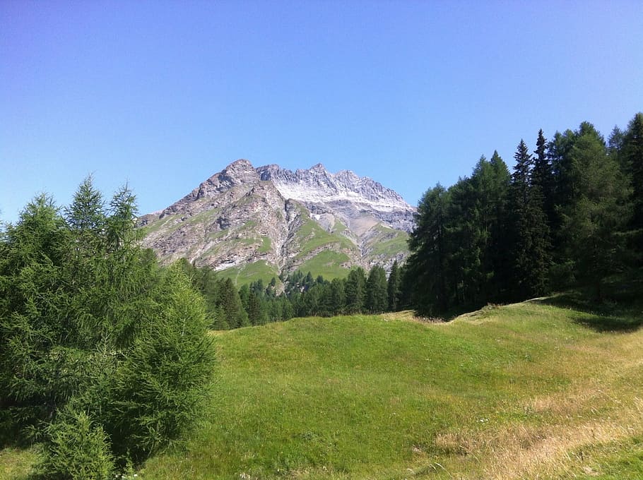 engadin, root tip, alpine, mountain, nature, landscape, scenics HD wallpaper
